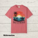 Gulf of Mexico Shirt Gulf Coast Shirt Texas Alabama Mississippi Florida Beach Crewneck Mexico Gift for Mexico Lover Gulf of Mexico Gift Tee